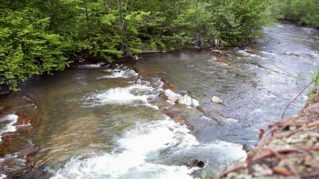 山河在绿林中流淌。美丽的自然景观视频素材