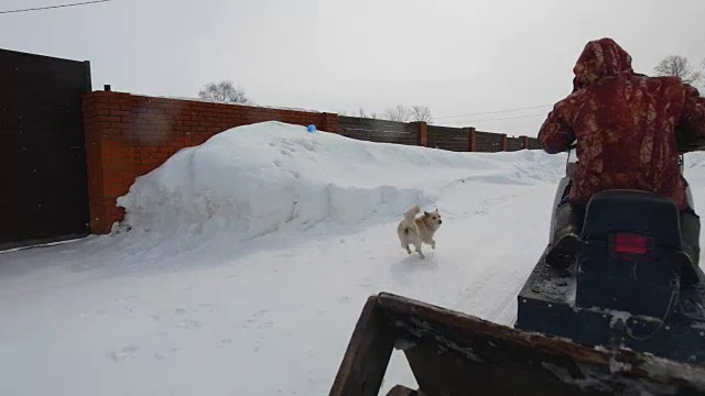 在雪村里，人们骑着雪地摩托带着狗视频素材