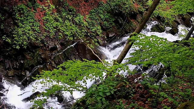 瀑布落在树林中。山间的瀑布。森林河视频素材