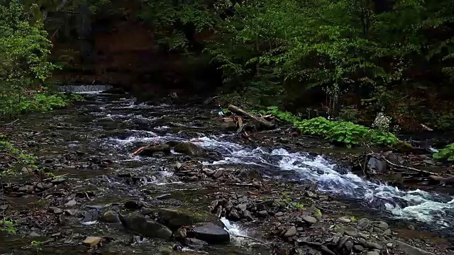 山河在幽暗的森林中流淌。森林中有小溪，景色优美视频素材