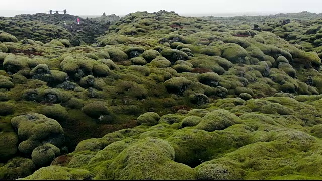 冰岛的火山景观上覆盖着苔藓视频下载