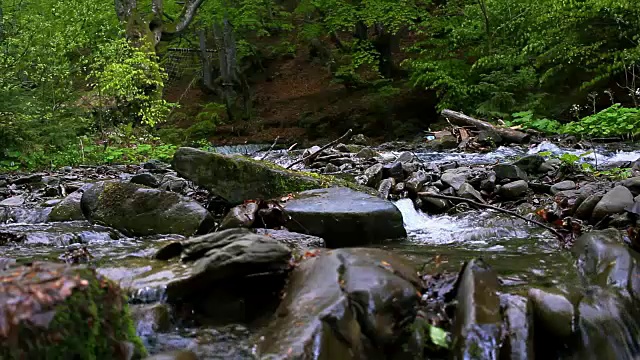 湍急的山河中间的巨石。野生森林河流背景视频素材