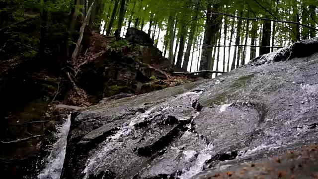 流动的水在岩石景观在野生森林。水在岩石的小路上流淌视频素材