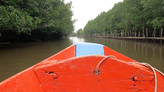 船观近河口红树林，保护海洋自然环境视频素材