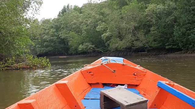 船观近河口红树林，保护海洋自然环境视频素材