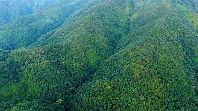 山景和森林鸟瞰图。视频素材