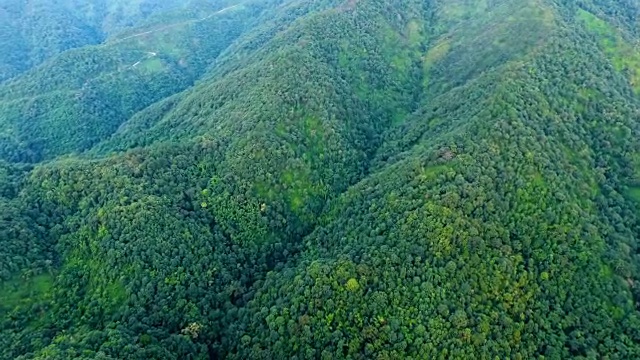 山景和森林鸟瞰图。视频素材