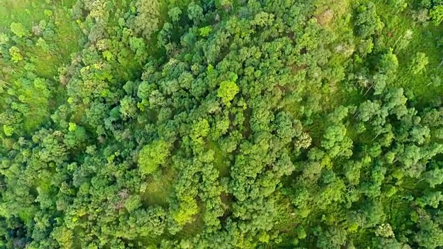 高山和森林的顶视图。视频素材