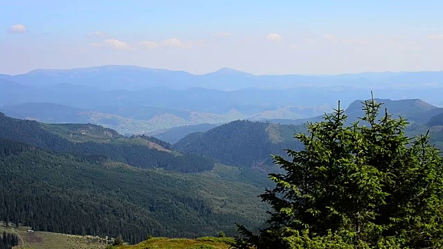 冷杉树的背景美丽的风景与山脉视频素材