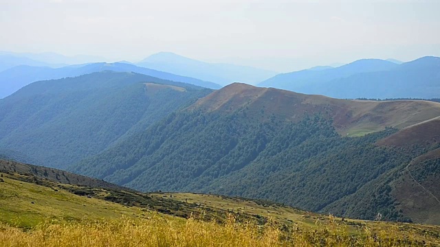 风景优美的夏季景观，山上有草甸视频素材