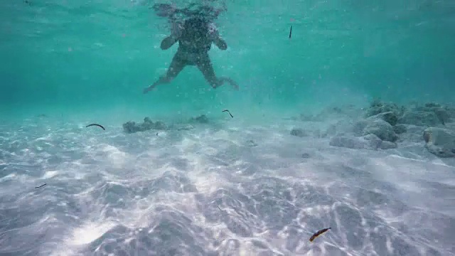 在海洋中游泳和潜水的美丽女人视频素材