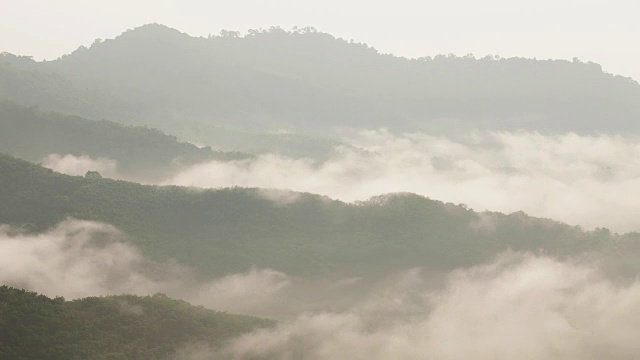 清晨的雾在热带雨林的山上流动视频素材