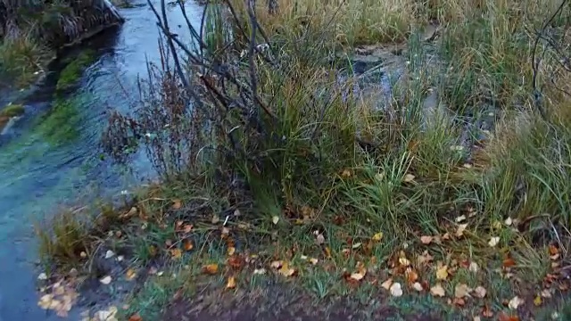 秋雨绵绵的阿尔泰山森林溪流和蓝色间歇泉湖全景图视频素材