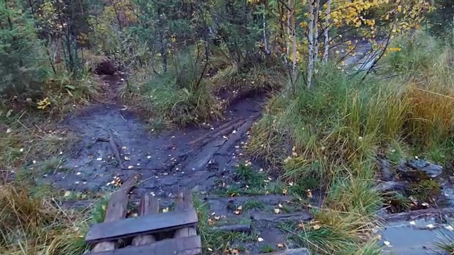 在雨天穿过阿尔泰山脉蓝间歇泉湖附近森林溪上的小木板桥视频素材