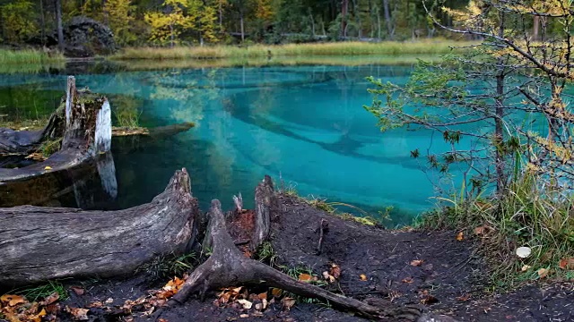 阿尔泰山蓝色间歇泉湖全景图视频素材