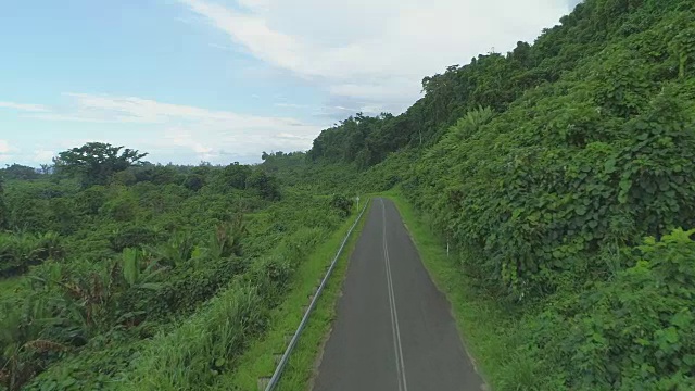 AERIAL:城市混凝土步道蜿蜒穿过郁郁葱葱的热带雨林。视频素材