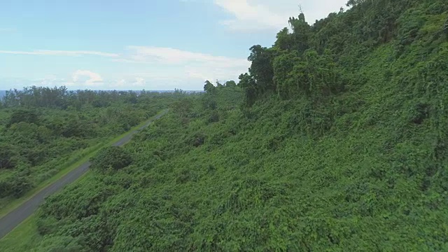 航拍:在空旷的柏油路附近茂密的热带植被上飞行。视频素材