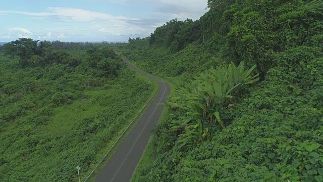 空中摄影:飞过遥远的柏油路，穿过无尽的丛林。视频素材