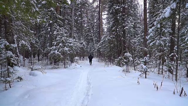 一个年轻人沿着一条积雪覆盖的森林小路跑。视频素材