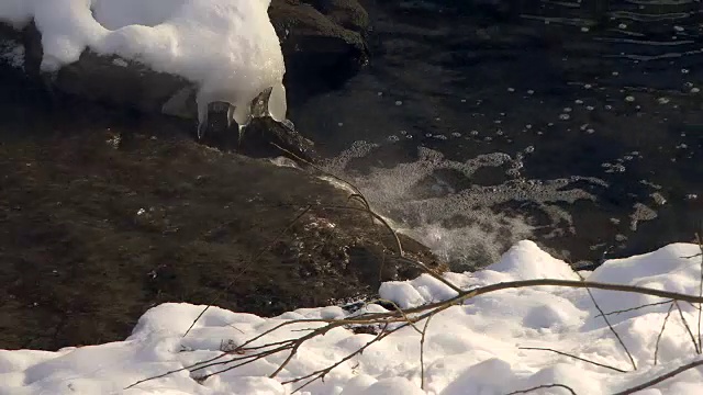 小溪与河流汇合。雪视频素材