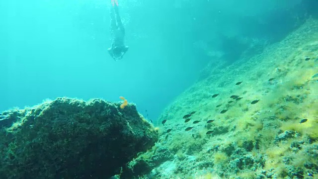 女士浮潜在蓝色的海洋水下视频素材