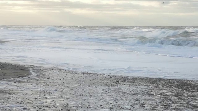 在丹麦海岸视频下载