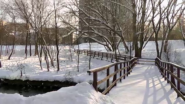 木桥，路穿过公园，雪视频下载