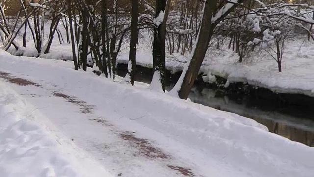 野鸭在冬天下雪的河里寻找食物视频下载