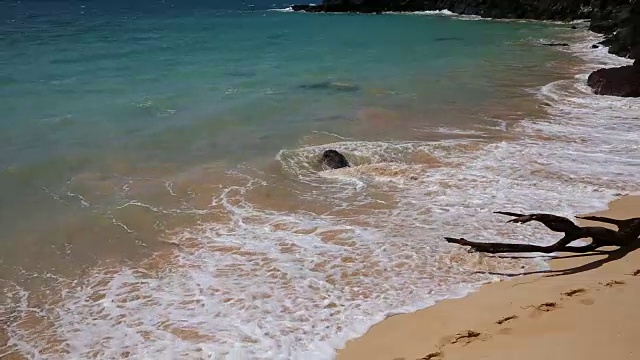 大海滩尽头视频素材