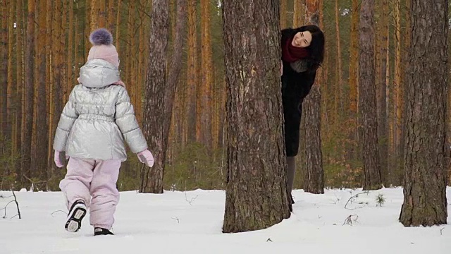 一个女人和她的女儿在冬季公园视频素材