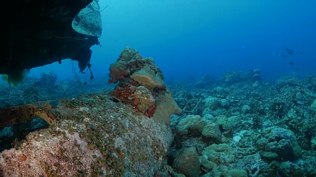 海底人工礁，日本爱知E13A海军水上飞机视频素材