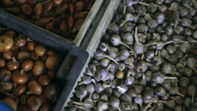 特写，水果和蔬菜水果躺在塑料盒子视频下载