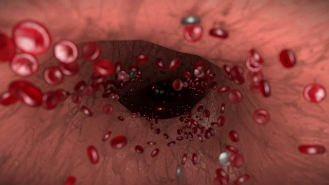 血细胞红白静脉动脉血细胞生物学医学博士4k视频素材