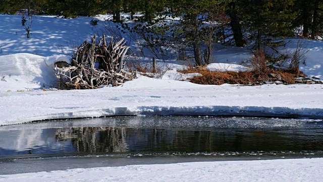 冬季，阿尔泰河被冰雪覆盖视频素材