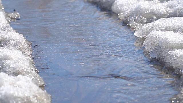 泉水小溪流过沥青路视频素材