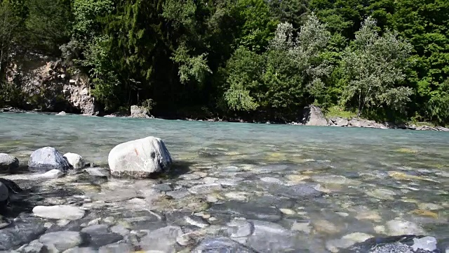 美丽的瑞士河中有蓝色和绿色的背景树视频素材