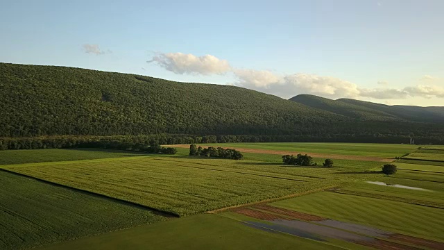 山谷里的夏天视频素材