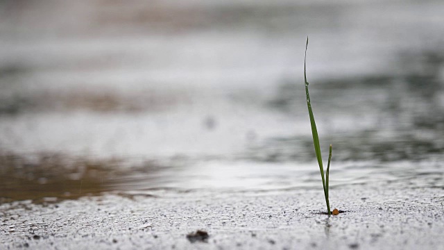 雨滴落在地板上视频素材