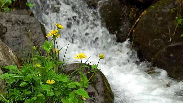 黄花山溪视频素材