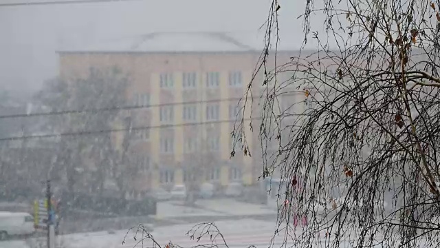 城市景观与降雪在城市与无叶桦树视频素材