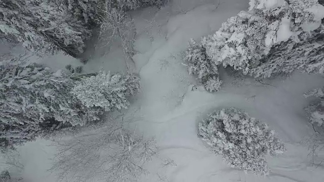 雪山鸟瞰图视频素材