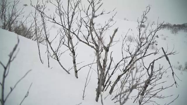 乡间滑雪者下山，积着厚厚的粉雪视频素材