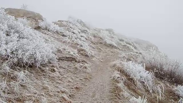 在长满草的山坡上运动视频素材