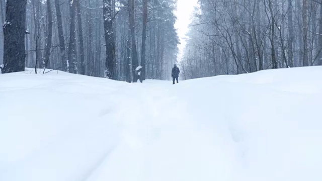 飘落的雪花在冬天的森林里覆盖着白雪皑皑的树木，一个人站在森林的中央慢动作视频素材