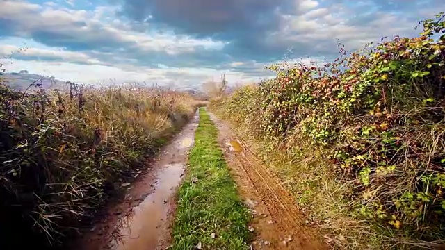 在自然界中。春天的季节视频素材