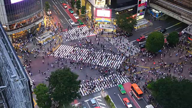 东京涩谷十字路口视频素材