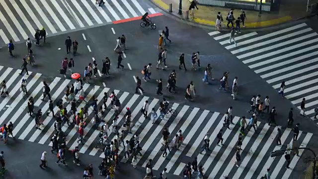 东京涩谷十字路口视频素材