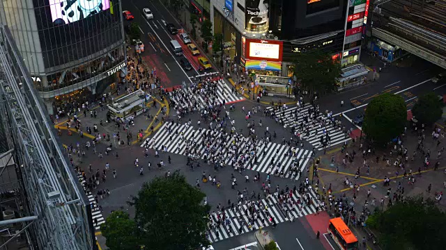 东京涩谷十字路口视频素材