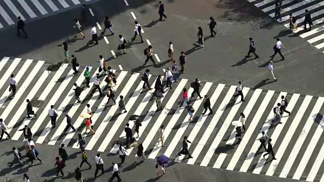 东京涩谷十字路口视频素材