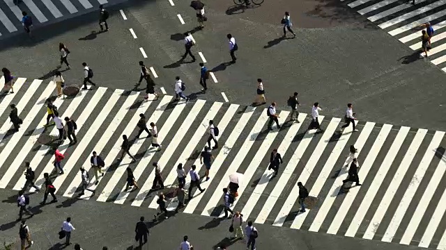 东京涩谷十字路口视频素材